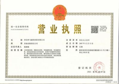 西安鴻飛融資擔保 以專業服務賦能，鴻飛擔保正式接入個人征信系統